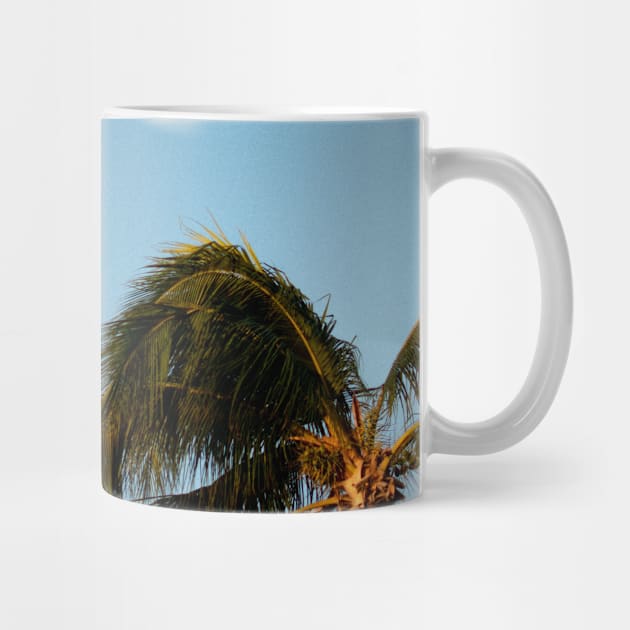 Retro Palm Trees by NewburyBoutique